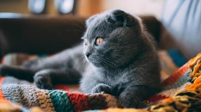 Погода на лівобережжі Херсонщини з 16 по 18 листопада: прогноз Українського гідрометеоцентру