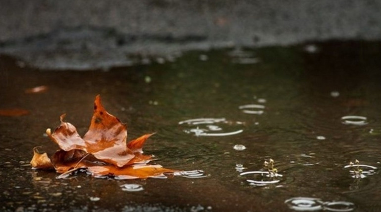 Дощі й похолодання: якою буде погода у Гадячі цього тижня