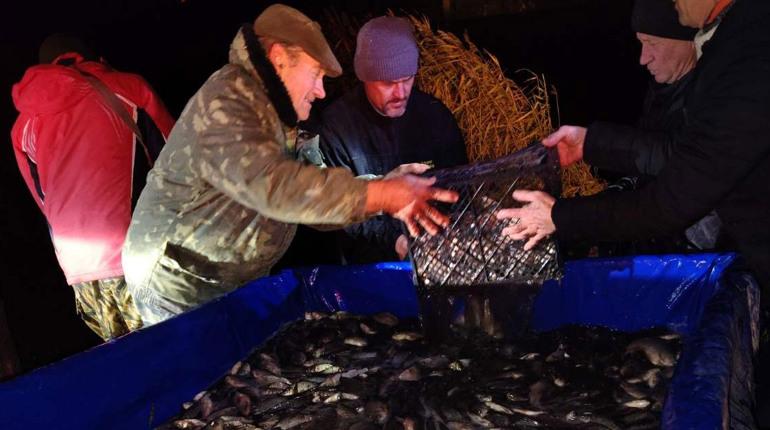 Товариство «Рибалка» завершило цьогорічне зариблення Малого Паськівського ставка в Кагарлику