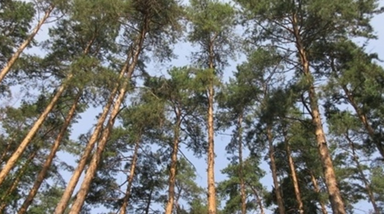 Радіаційний стан навколо Хмельницької АЕС за минулий тиждень