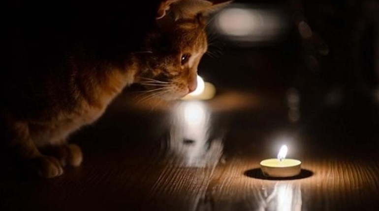 Глухів залишиться без світла через ремонті роботи