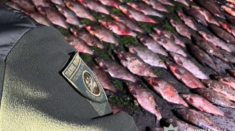 У Градизькій громаді викрили браконьєра з 300 кг риби