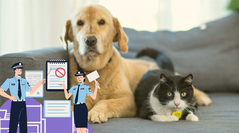 Ви стали свідком жорстокого поводження з твариною. Що робити? Пояснює поліція