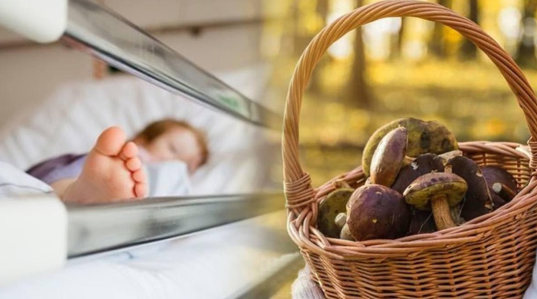 Діти віком 7 та 9 років отруїлися грибами