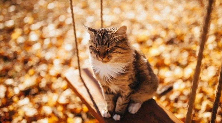 Погода на лівобережжі Херсонщини з 23 по 25 листопада: прогноз Українського гідрометеоцентру