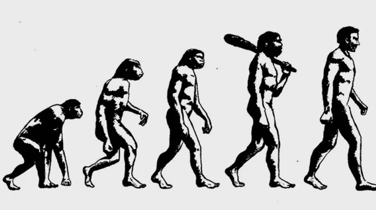 24 листопада: Всесвітній день еволюції, Всесвітній день сіамських близнюків та інші свята, події