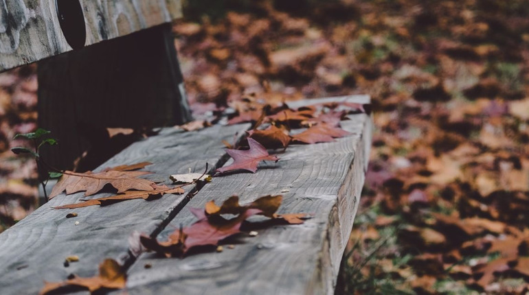 Дощі та мокрий сніг: якою буде погода у Гадячі цього тижня