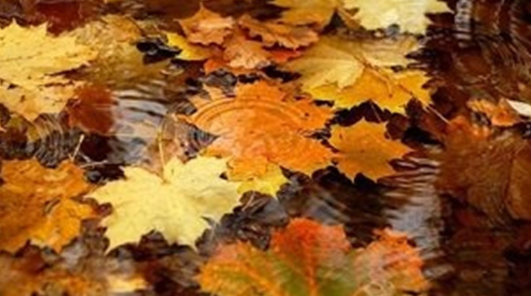 Прогноз погоди на 24-26 листопада