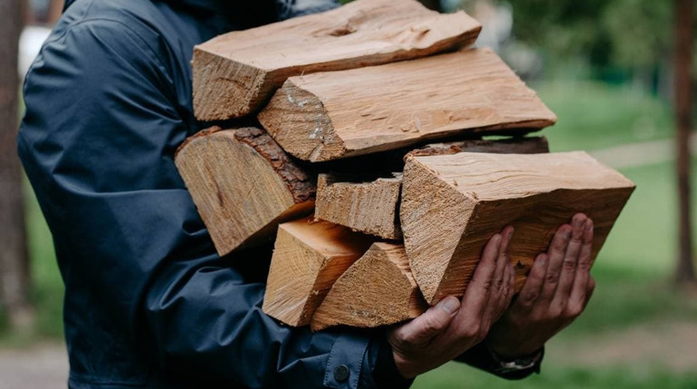 Безкоштовне паливо: жителям Глухівщини дозволили збирати деревину в лісі, але є умови