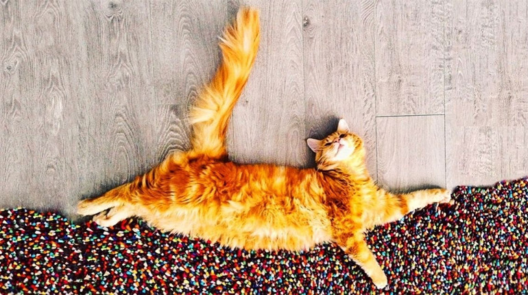 Погода на лівобережжі Херсонщини з 26 по 28 листопада: прогноз Українського гідрометеоцентру