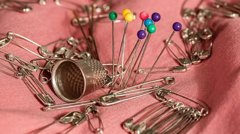 27 листопада: День шпильок та голок, День захисту черепах та інші свята, події, дати