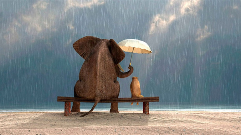 28 листопада: Всесвітній день милосердя, Всесвітній день інформації та інші свята, події, дати