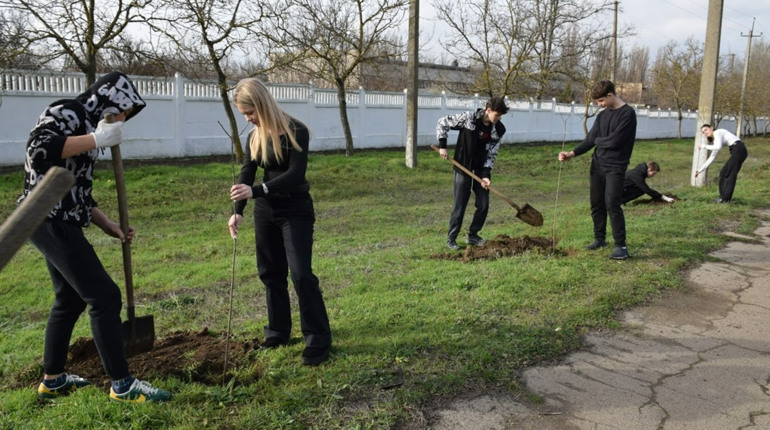 У Біляївці висадили Алею сакур: 50 нових дерев прикрасили місто