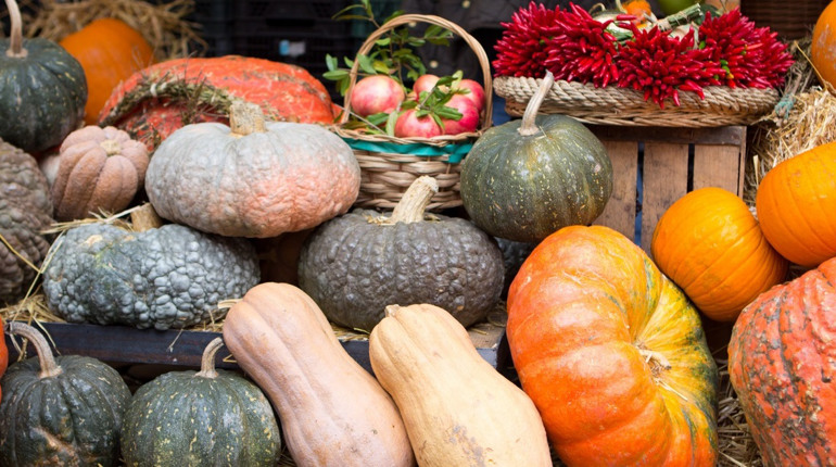 30 листопада: День гарбуза, День вічної молодості та інші свята, події, дати