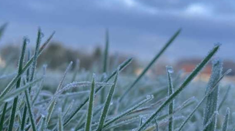 Тумани й незначні дощі: прогноз погоди у Гадячі на тиждень