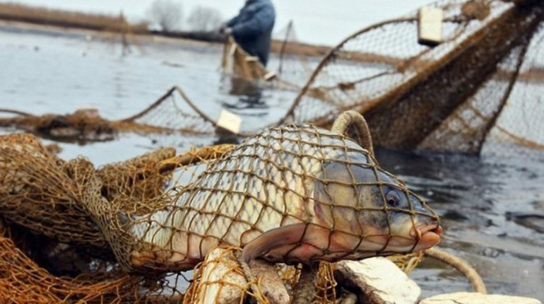 Браконьєрський вилов на 261 тисячу: у затоці «Міліметрівка» затримали двох чоловіків