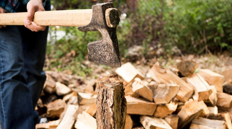 Рубити чи рубати: у чому різниця та як не помилитися