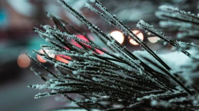 Погода у Гадячі на тиждень: хмарність, невеликі дощі та стабільно плюсова температура