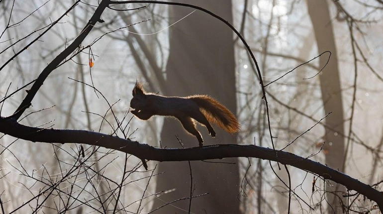 Прогноз погоди у найближчі дні
