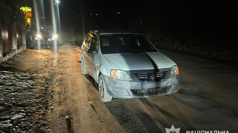 На Кременеччині під колеса авто потрапили мама з дитиною