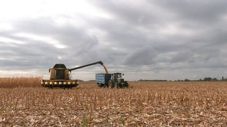 Жнивна кампанія на Черкащині виходить на фінішну пряму