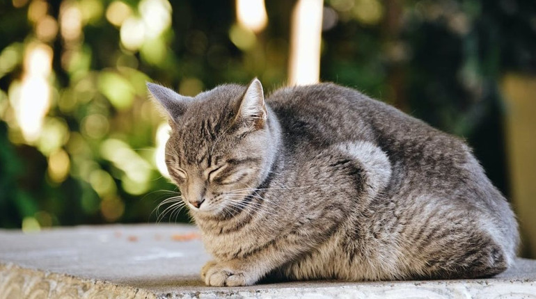 Погода на лівобережжі Херсонщини з 11 по 13 грудня: прогноз Українського гідрометеоцентру