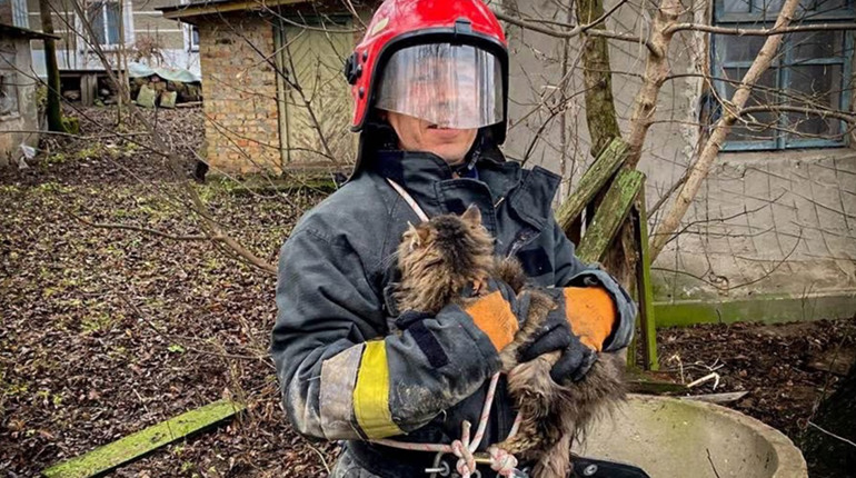 На Кременеччині рятувальники врятували кота