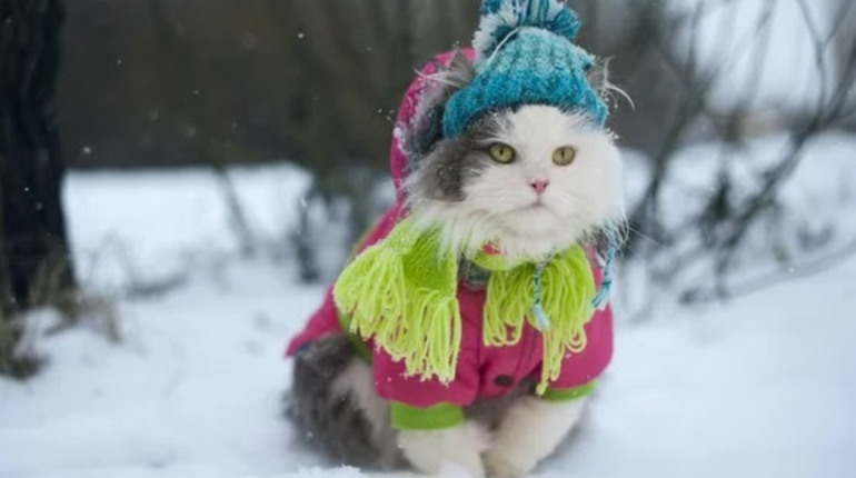 Погода на лівобережжі Херсонщини з 18 по 20 грудня: прогноз Українського гідрометеоцентру