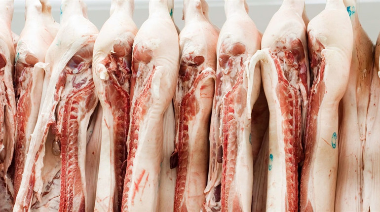 В Україні упали ціни на свинину: живою вагою закуповують по 70 грн, у супермаркетах втричі дорожча