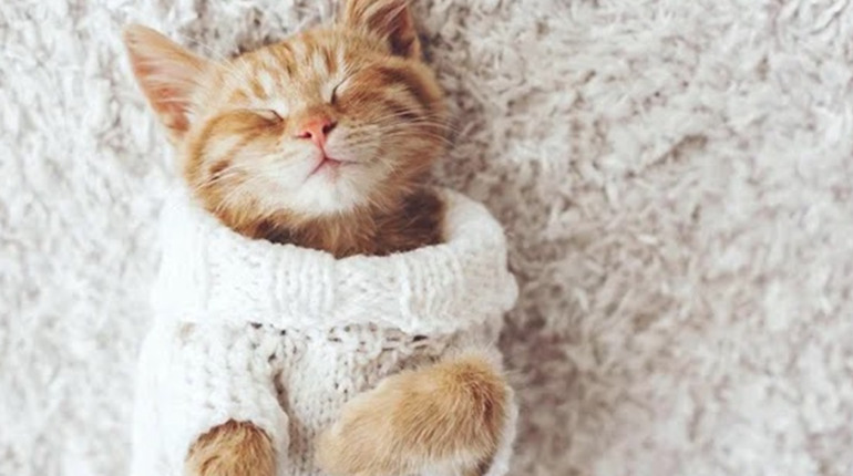 Погода на лівобережжі Херсонщини з 21 по 23 грудня: прогноз Українського гідрометеоцентру