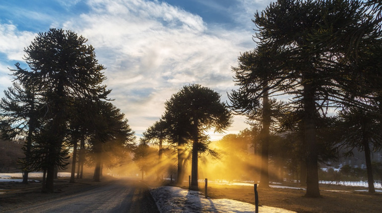 Коли темрява найдовша: Україна зустрічає зимове сонцестояння