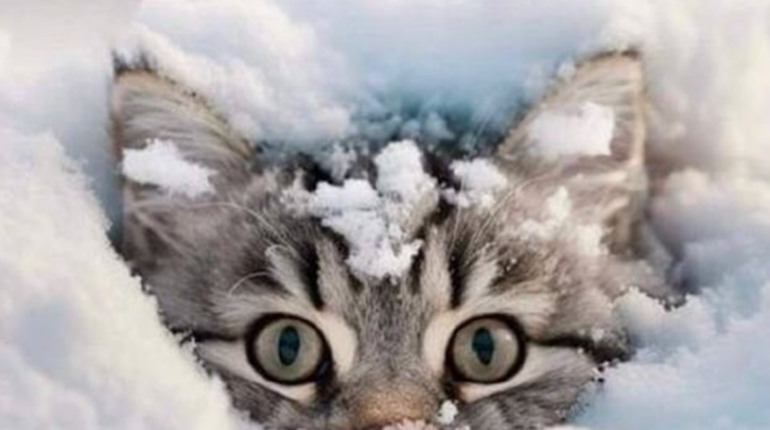 Яку погоду очікувати в останні дні року. Прогноз