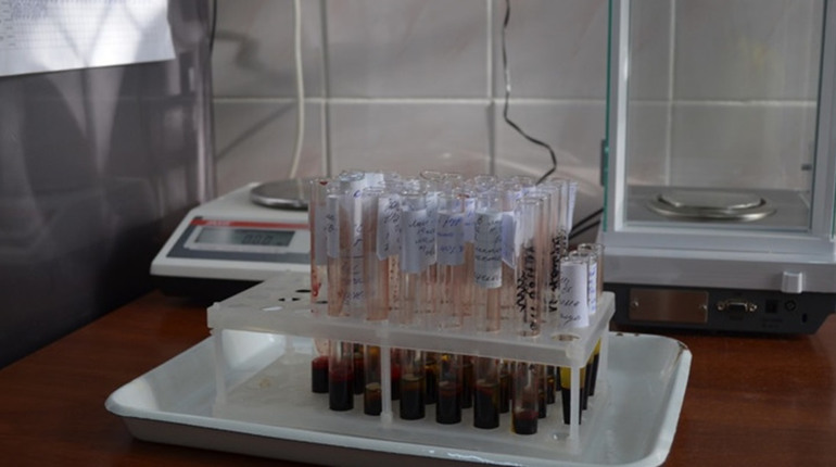 Біляївській лікарні потрібні донори усіх груп крові: телефон для зв'язку