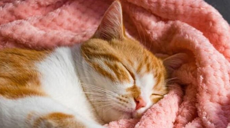 Погода на лівобережжі Херсонщини з 24 по 26 грудня: прогноз Українського гідрометеоцентру