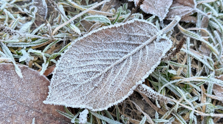 Чи буде сніг на Новий рік на Первомайщині: прогноз погоди на кінець грудня 2025 й початок січня 2026