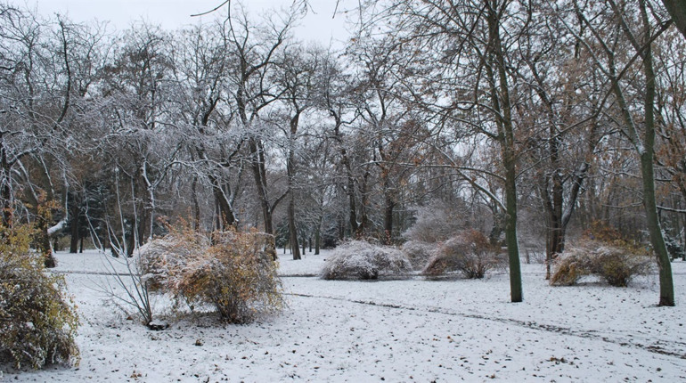 Пірнаючий циклон принесе на Черкащину сніг, хуртовини та сильний вітер