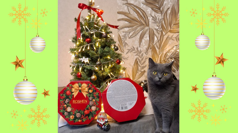 Попри війну та окупацію учні навчальних закладів Сірогозщини отримали новорічні подарунки