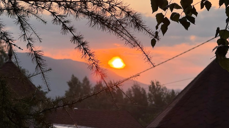 Відчуваєте втому вже 1 січня? Як за 24 години повернути собі енергію за допомогою digital-детоксу