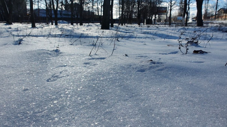Від снігу й морозів до зливи з грозою: погодні гойдалки початку січня-2026 у Первомайську
