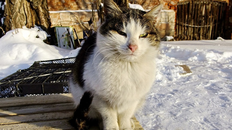 Погода на лівобережжі Херсонщини з 5 по 7 січня: прогноз Українського гідрометеоцентру