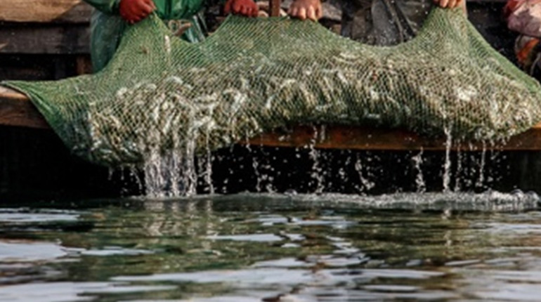 На Полтавщині за перші дні року зафіксували майже 30 порушень правил рибальства
