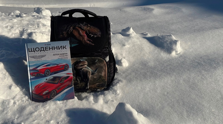 Через складні погодні умови школярі Полонщини перейдуть на дистанційне навчання: на скільки часу