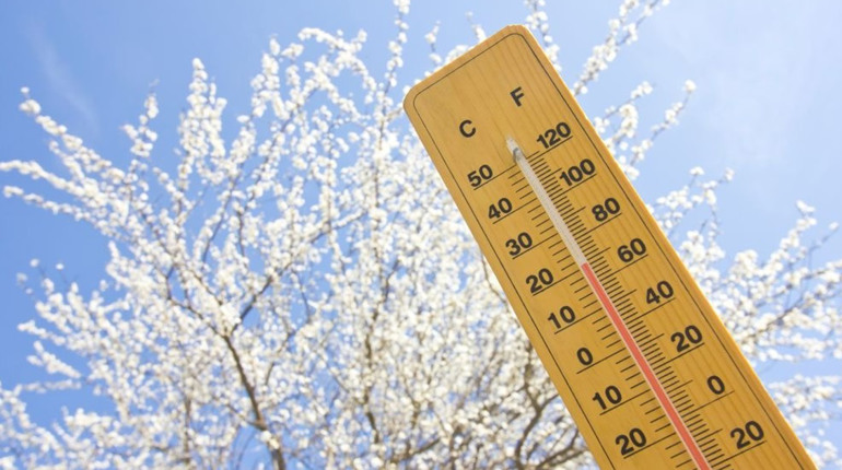 Зимова казка та міцні морози: погода в Південноукраїнську з 12 по 16 січня