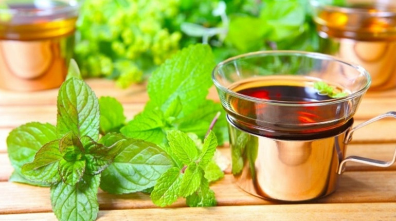 Настій, відвар чи чай: у чому різниця застосування трави меліси