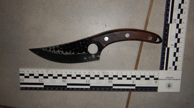 Вчиняв домашнє насильство і поранив ножем правоохоронця: чоловіку загрожує 5 років тюрми