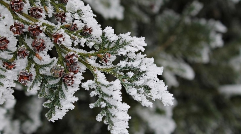 Погода у Старокостянтинові на 20-25 січня: морози ще тримаються, але потепління вже близько
