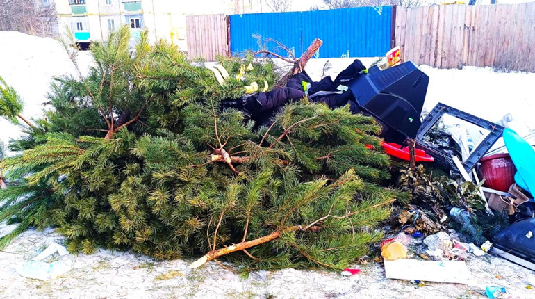 Де подіти ялинку після свят?