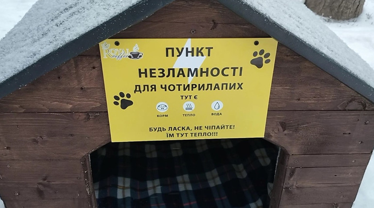 «Ми їх не виганяємо»: історії тварин, які «працюють» у магазинах Шосткинської громади»