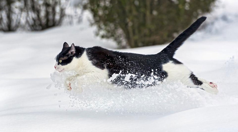 Погода на лівобережжі Херсонщини з 23 по 25 січня: прогноз Українського гідрометеоцентру