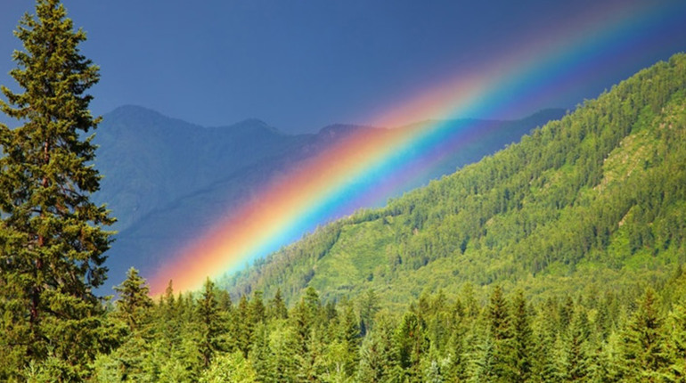 Про сім кольорів веселки